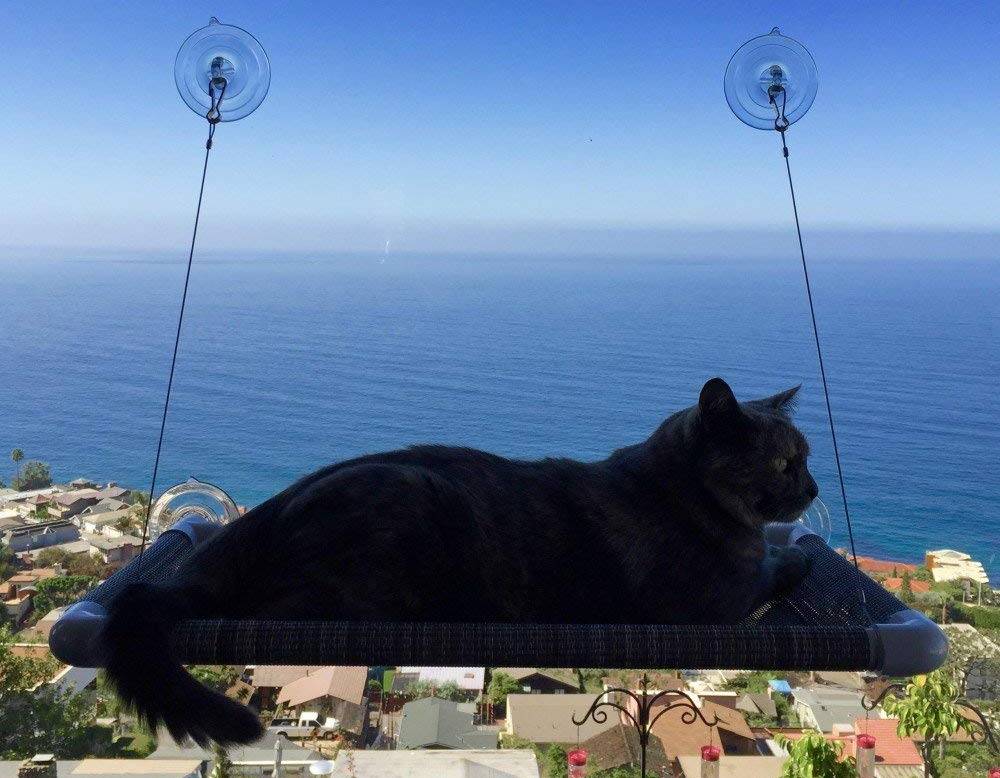 Las mejores camas colgantes para gatos para ventana de 2019 37 Best Cat Window Perches For Indoor Cats