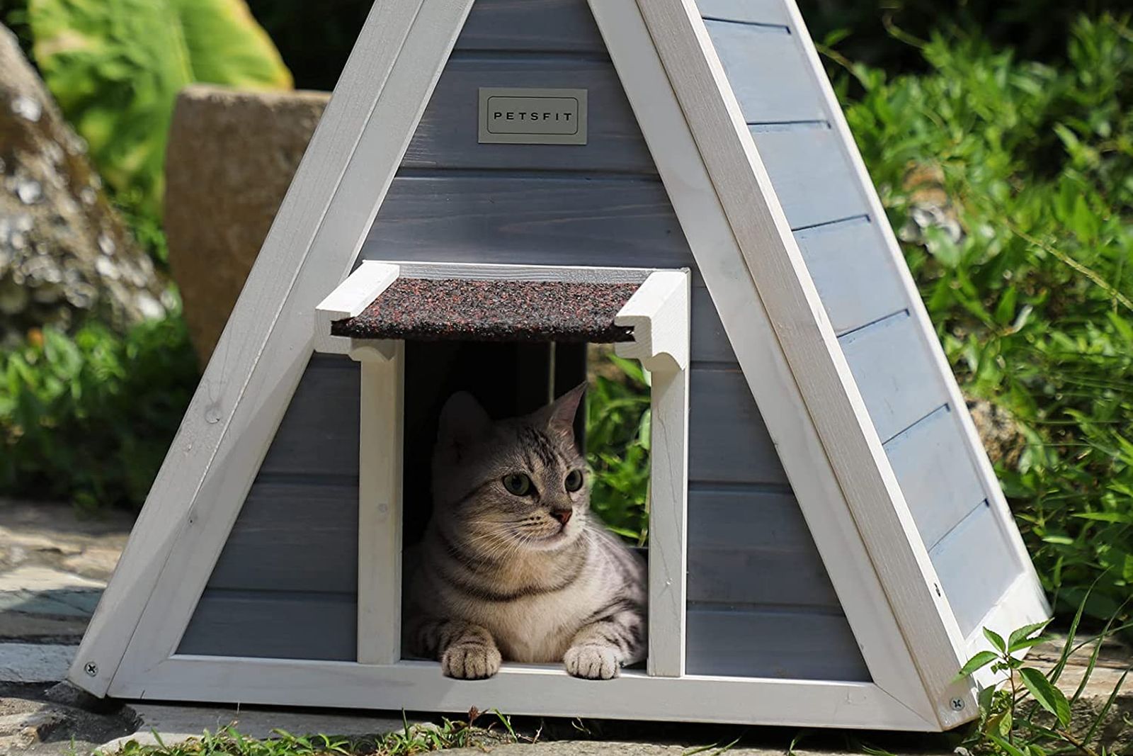 Mejores casas para gatos