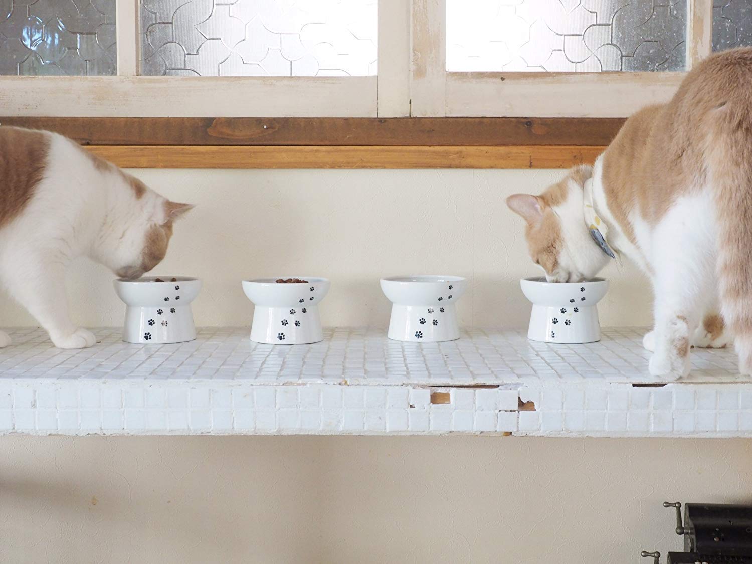 Comedero elevado para gatos de Necoichi de porcelana 1 Comedero elevado para gatos de Necoichi