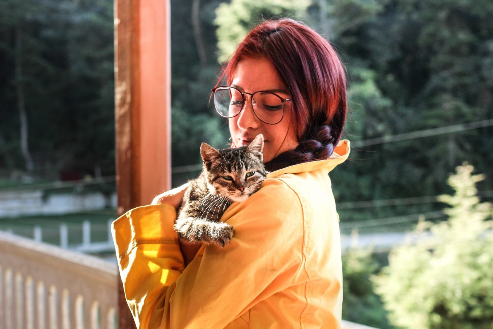 ¿Qué piensan los gatos de los humanos? 6 cosas que debes saber 1 ¿Qué piensan los gatos de los humanos?