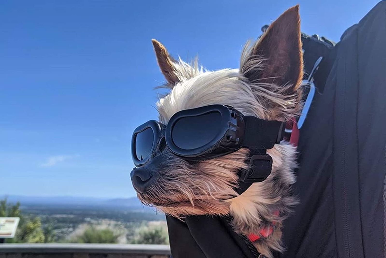 Gafas De Sol Para Perros Resistentes A Los Rayos Uv Gafas De 